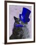 Grey Cat with Blue Top Hat and Moustache-Fab Funky-Framed Art Print