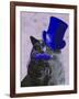 Grey Cat with Blue Top Hat and Moustache-Fab Funky-Framed Art Print