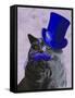 Grey Cat with Blue Top Hat and Moustache-Fab Funky-Framed Stretched Canvas