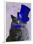 Grey Cat with Blue Top Hat and Moustache-Fab Funky-Framed Art Print