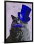 Grey Cat with Blue Top Hat and Moustache-Fab Funky-Framed Art Print