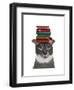 Grey Cat with Books on Head-Fab Funky-Framed Art Print