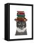 Grey Cat with Books on Head-Fab Funky-Framed Stretched Canvas