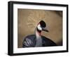 Grey Crowned Crane (Balearica Regulorum)-dirkr-Framed Photographic Print