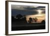 Grey Dawn Wetland-Robert Goldwitz-Framed Photographic Print