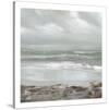 Grey Dawn-Caroline Gold-Stretched Canvas