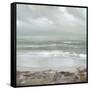 Grey Dawn-Gold Caroline-Framed Stretched Canvas