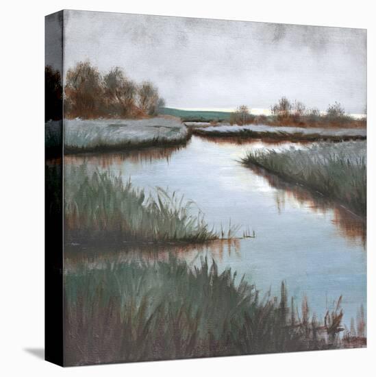 Grey Day-Julie Peterson-Stretched Canvas