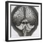 Grey Drone-Fly, Observation XXXIX from Hooke's Micrographia, 1664-Robert Hooke-Framed Giclee Print