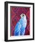 Grey falcon-Jane Tattersfield-Framed Giclee Print