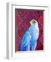 Grey falcon-Jane Tattersfield-Framed Giclee Print