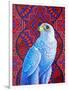 Grey falcon-Jane Tattersfield-Framed Giclee Print