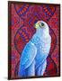 Grey falcon-Jane Tattersfield-Framed Giclee Print