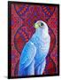 Grey falcon-Jane Tattersfield-Framed Giclee Print