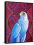 Grey falcon-Jane Tattersfield-Framed Stretched Canvas