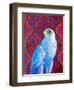 Grey falcon-Jane Tattersfield-Framed Premium Giclee Print