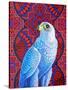 Grey falcon-Jane Tattersfield-Stretched Canvas