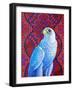 Grey falcon-Jane Tattersfield-Framed Giclee Print