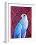 Grey falcon-Jane Tattersfield-Framed Giclee Print