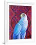 Grey falcon-Jane Tattersfield-Framed Giclee Print