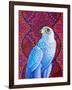 Grey falcon-Jane Tattersfield-Framed Giclee Print