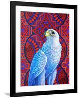 Grey falcon-Jane Tattersfield-Framed Giclee Print