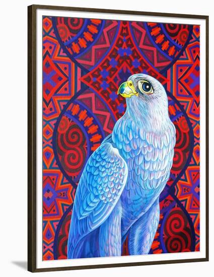 Grey falcon-Jane Tattersfield-Framed Premium Giclee Print