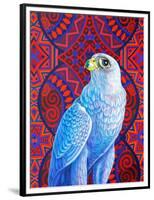 Grey falcon-Jane Tattersfield-Framed Premium Giclee Print