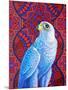 Grey falcon-Jane Tattersfield-Mounted Premium Giclee Print