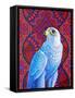 Grey falcon-Jane Tattersfield-Framed Stretched Canvas