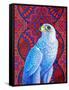 Grey falcon-Jane Tattersfield-Framed Stretched Canvas