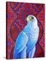 Grey falcon-Jane Tattersfield-Stretched Canvas