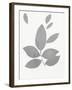 Grey Foliage-PI Juvenile-Framed Art Print