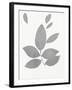 Grey Foliage-PI Juvenile-Framed Art Print