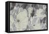 Grey Garden III-Grace Popp-Framed Stretched Canvas