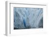 Grey Glacier, Torres del Paine National Park, Chile. Patagonia-Adam Jones-Framed Photographic Print