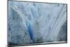 Grey Glacier, Torres del Paine National Park, Chile. Patagonia-Adam Jones-Mounted Photographic Print