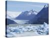 Grey Glacier, Torres Del Paine National Park, Chile, South America-Jane Sweeney-Stretched Canvas