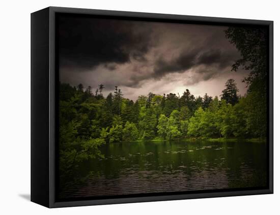 Grey-Green-Philippe Sainte-Laudy-Framed Stretched Canvas