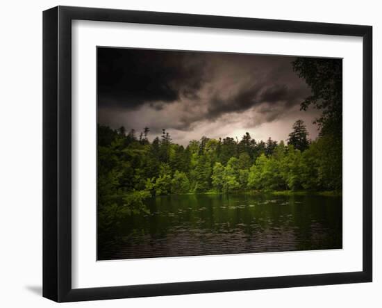 Grey-Green-Philippe Sainte-Laudy-Framed Premium Photographic Print