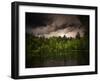 Grey-Green-Philippe Sainte-Laudy-Framed Premium Photographic Print