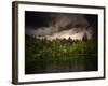 Grey-Green-Philippe Sainte-Laudy-Framed Photographic Print