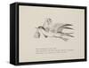Grey Gull, Carrying Owl and Carpet Bag From a Collection Of Poems and Songs by Edward Lear-Edward Lear-Framed Stretched Canvas