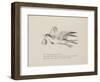 Grey Gull, Carrying Owl and Carpet Bag From a Collection Of Poems and Songs by Edward Lear-Edward Lear-Framed Giclee Print