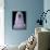 Grey-headed Albatross Chick, South Georgia Island, Antarctica-Art Wolfe-Framed Photographic Print displayed on a wall