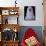 Grey-headed Albatross Chick, South Georgia Island, Antarctica-Art Wolfe-Framed Photographic Print displayed on a wall