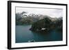 Grey-Headed Albatross in Flight-null-Framed Photographic Print