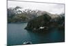 Grey-Headed Albatross in Flight-null-Mounted Photographic Print