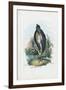 Grey Heron, 1863-79-Raimundo Petraroja-Framed Giclee Print