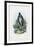 Grey Heron, 1863-79-Raimundo Petraroja-Framed Giclee Print